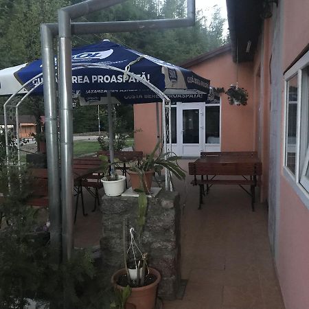 Hôtel Vila Tanamera à Moneasa Extérieur photo