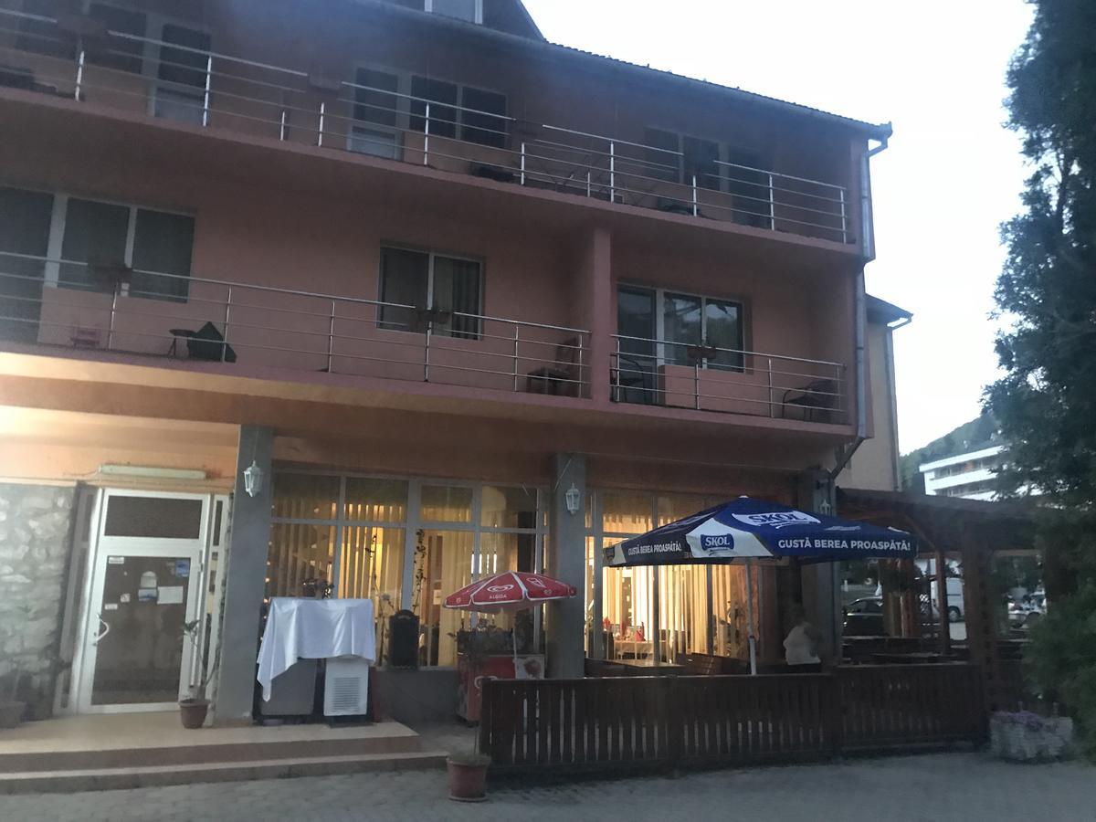 Hôtel Vila Tanamera à Moneasa Extérieur photo